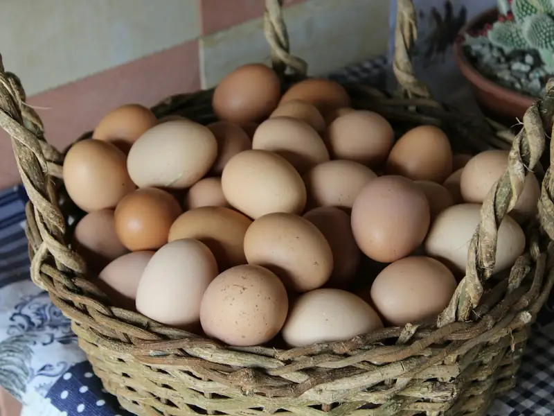 Fresh brown eggs in a wicker basket